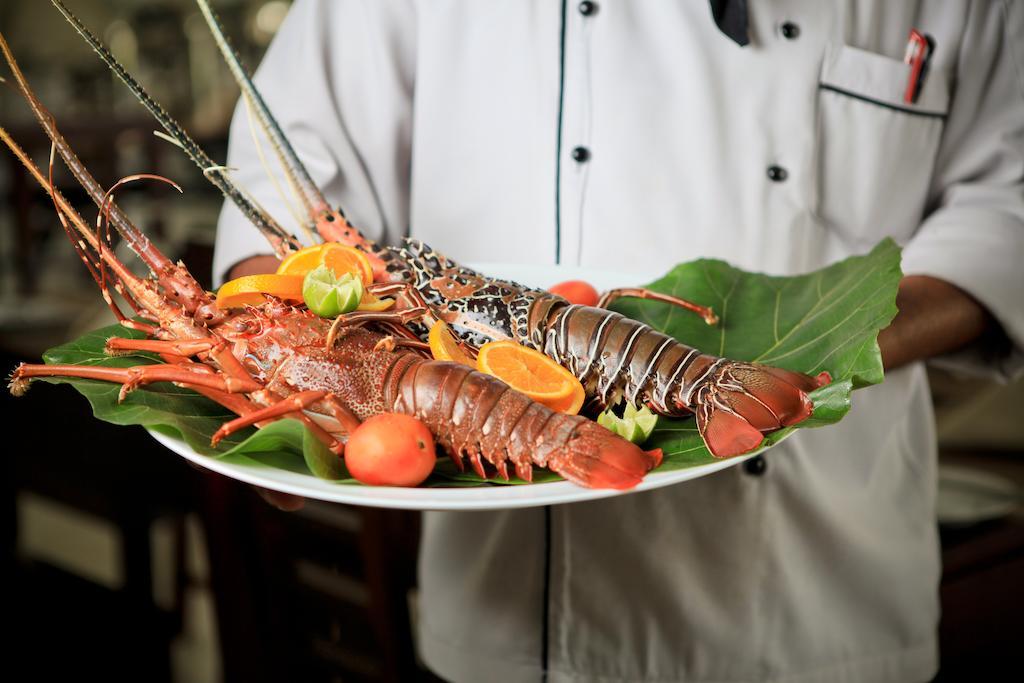 Lavendish Okrin Hotel Kataragama Exteriér fotografie