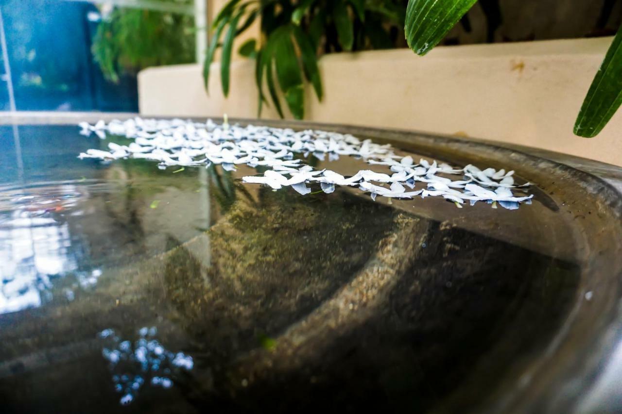 Lavendish Okrin Hotel Kataragama Exteriér fotografie